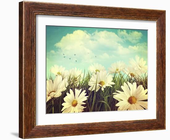 Vintage Look of Summer Daisies in Grass-Sandralise-Framed Photographic Print