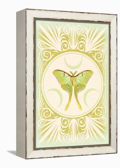 Vintage Luna Moth-null-Framed Stretched Canvas