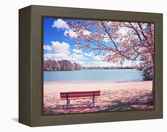 Vintage Moment-Philippe Sainte-Laudy-Framed Premier Image Canvas