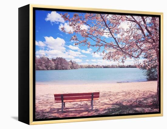 Vintage Moment-Philippe Sainte-Laudy-Framed Premier Image Canvas