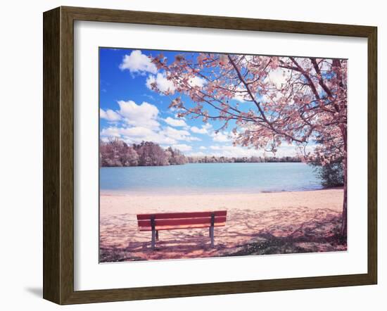 Vintage Moment-Philippe Sainte-Laudy-Framed Premium Photographic Print