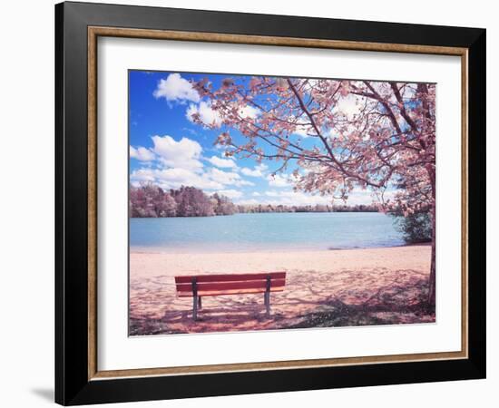 Vintage Moment-Philippe Sainte-Laudy-Framed Premium Photographic Print