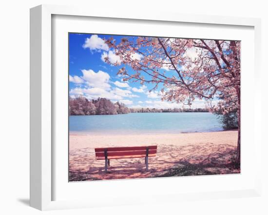 Vintage Moment-Philippe Sainte-Laudy-Framed Premium Photographic Print