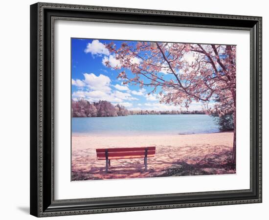 Vintage Moment-Philippe Sainte-Laudy-Framed Premium Photographic Print