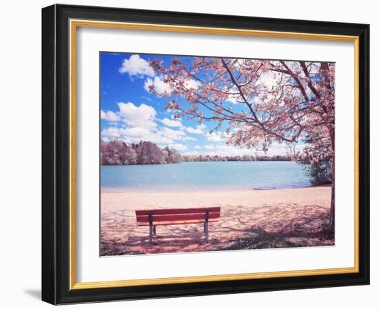 Vintage Moment-Philippe Sainte-Laudy-Framed Photographic Print