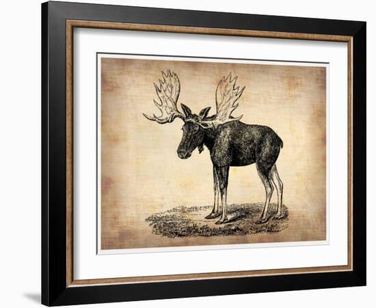 Vintage Moose-NaxArt-Framed Art Print