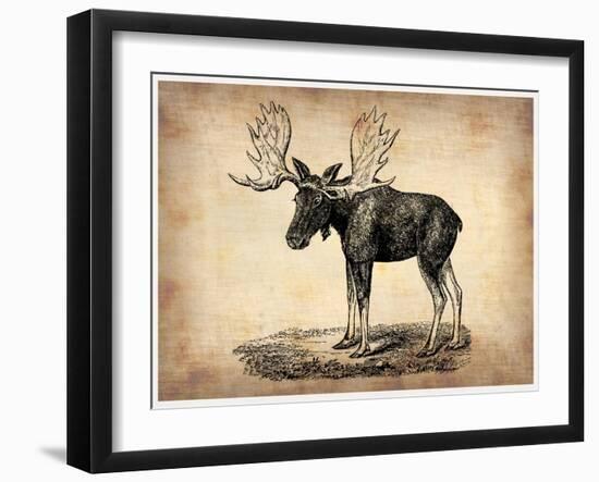 Vintage Moose-NaxArt-Framed Art Print