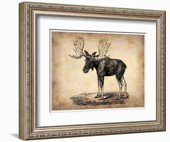 Vintage Moose-NaxArt-Framed Art Print