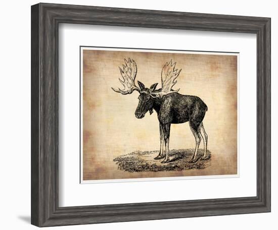 Vintage Moose-NaxArt-Framed Art Print