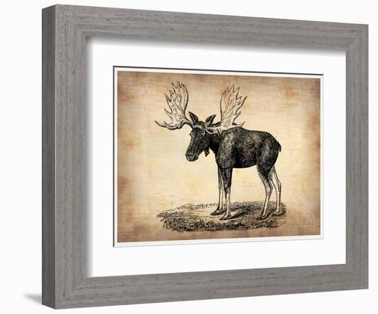 Vintage Moose-NaxArt-Framed Art Print