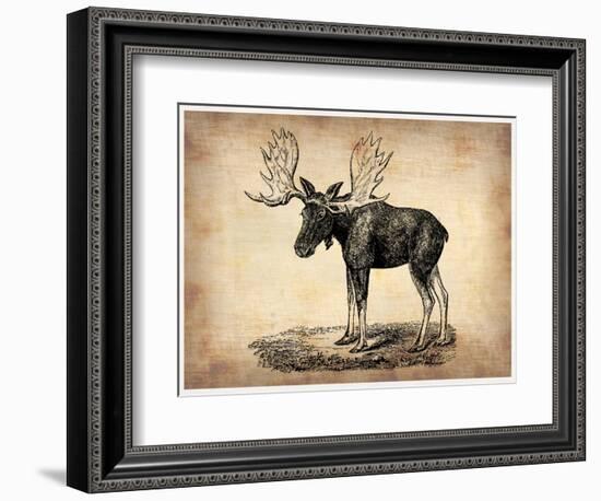 Vintage Moose-NaxArt-Framed Art Print