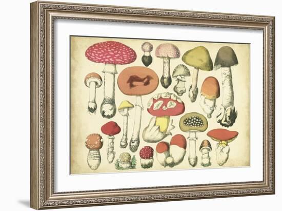 Vintage Mushroom Chart-Vision Studio-Framed Art Print