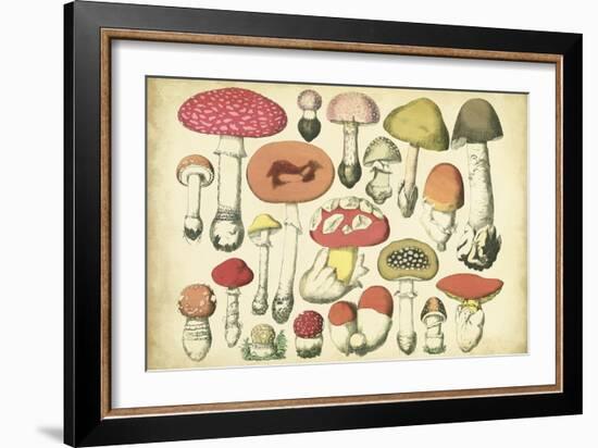 Vintage Mushroom Chart-Vision Studio-Framed Art Print