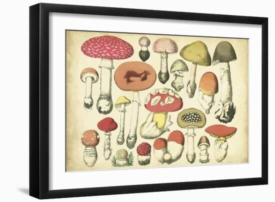 Vintage Mushroom Chart-Vision Studio-Framed Art Print