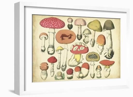 Vintage Mushroom Chart-Vision Studio-Framed Art Print