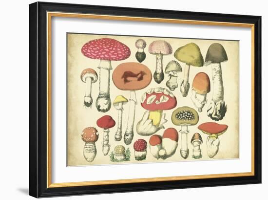 Vintage Mushroom Chart-Vision Studio-Framed Art Print