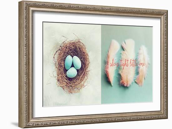 Vintage Nest of Feathers-Vicki Dvorak-Framed Art Print