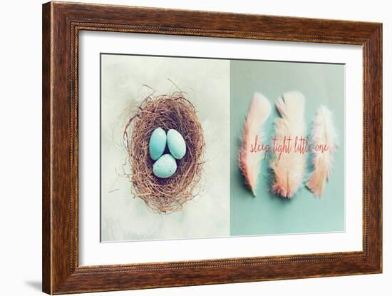 Vintage Nest of Feathers-Vicki Dvorak-Framed Art Print