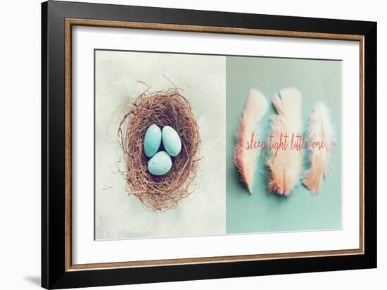 Vintage Nest of Feathers-Vicki Dvorak-Framed Art Print
