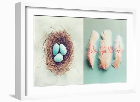 Vintage Nest of Feathers-Vicki Dvorak-Framed Art Print