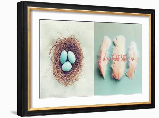 Vintage Nest of Feathers-Vicki Dvorak-Framed Art Print