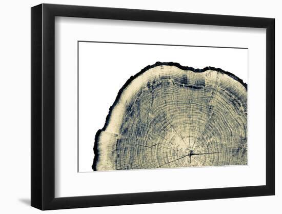 Vintage Neutral Monotone Piece of round Wood from a Large Tree. Rough Textured Surface with Rings,-captureandcompose-Framed Photographic Print