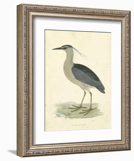 Vintage Night Heron-Morris-Framed Art Print