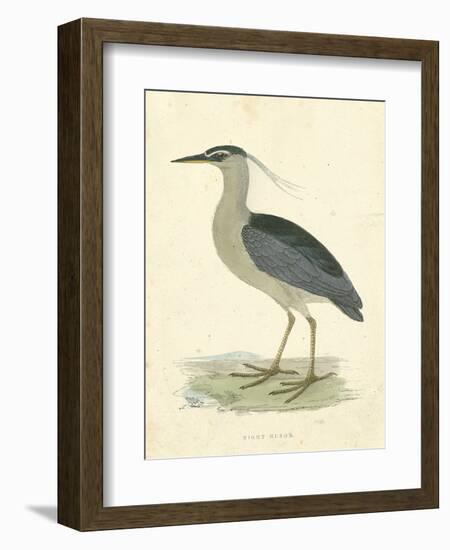 Vintage Night Heron-Morris-Framed Art Print