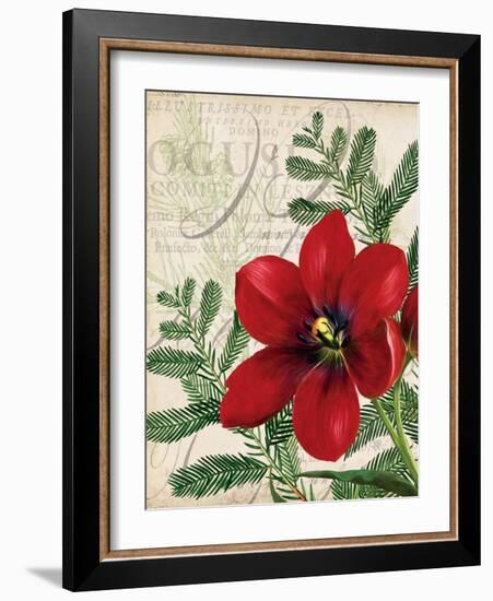 Vintage Noel III-Katie Pertiet-Framed Art Print