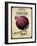 Vintage Onion Seed Packet-null-Framed Giclee Print