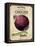 Vintage Onion Seed Packet-null-Framed Premier Image Canvas