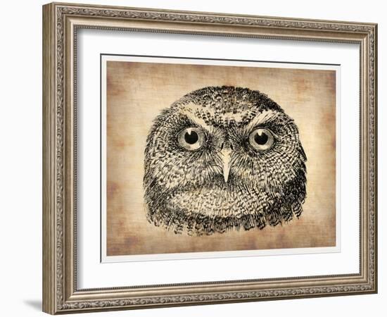 Vintage Owl Face-NaxArt-Framed Art Print