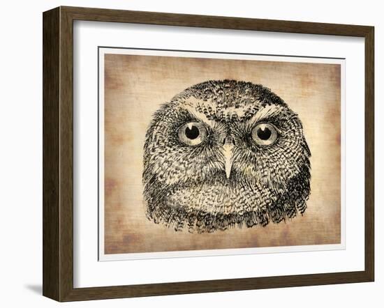 Vintage Owl Face-NaxArt-Framed Art Print