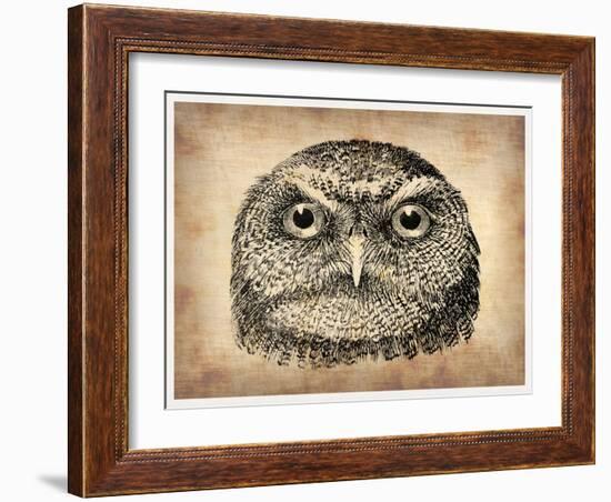 Vintage Owl Face-NaxArt-Framed Art Print