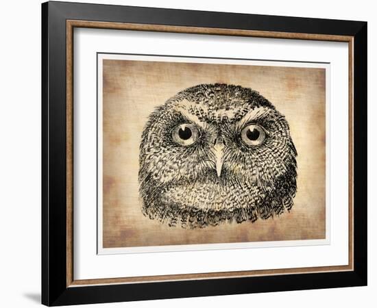 Vintage Owl Face-NaxArt-Framed Art Print