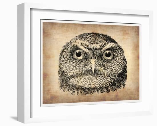 Vintage Owl Face-NaxArt-Framed Art Print