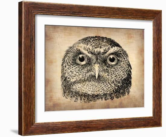 Vintage Owl Face-NaxArt-Framed Art Print