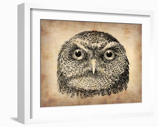 Vintage Owl Face-NaxArt-Framed Art Print