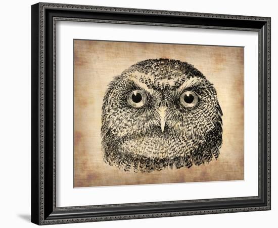 Vintage Owl Face-NaxArt-Framed Art Print