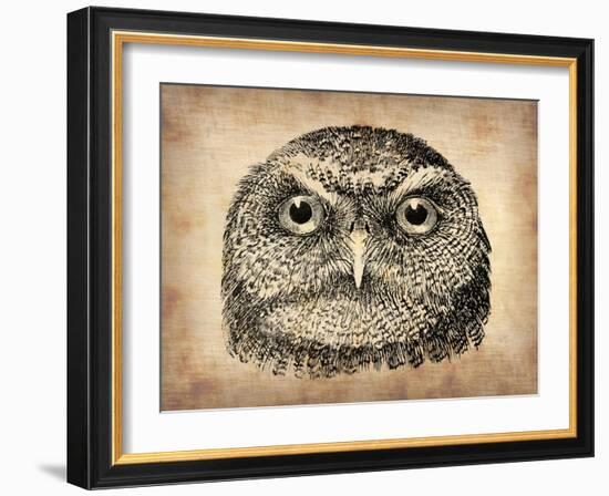 Vintage Owl Face-NaxArt-Framed Art Print