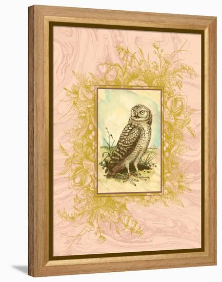 Vintage Owl-null-Framed Stretched Canvas