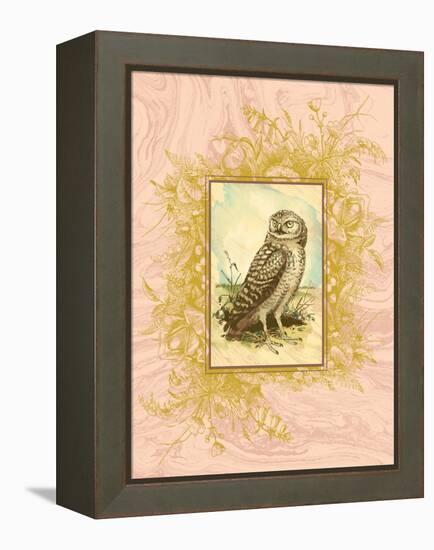 Vintage Owl-null-Framed Stretched Canvas