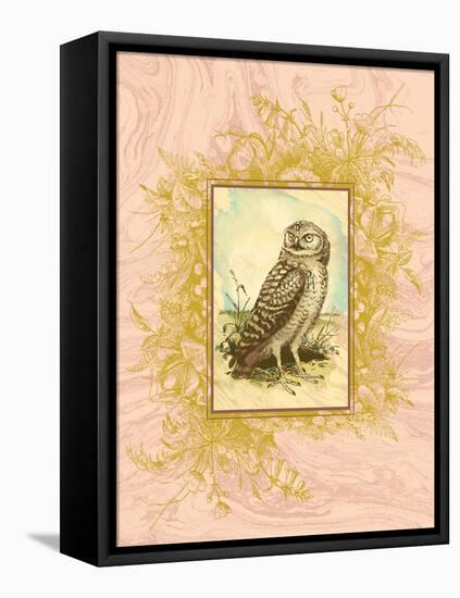 Vintage Owl-null-Framed Stretched Canvas