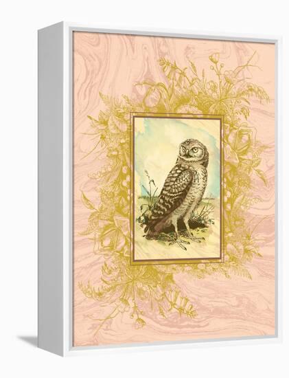 Vintage Owl-null-Framed Stretched Canvas