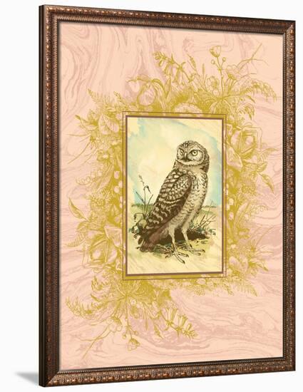 Vintage Owl-null-Framed Art Print