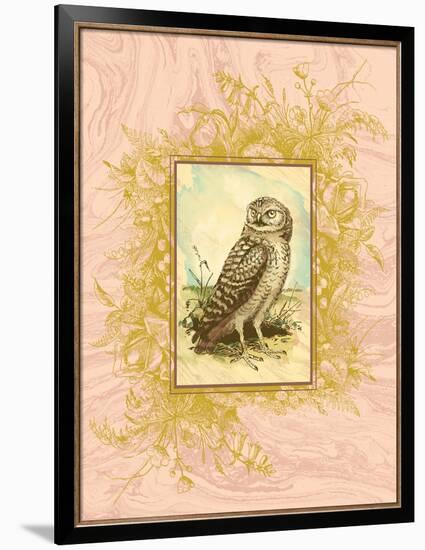 Vintage Owl-null-Framed Art Print