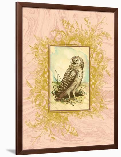 Vintage Owl-null-Framed Art Print