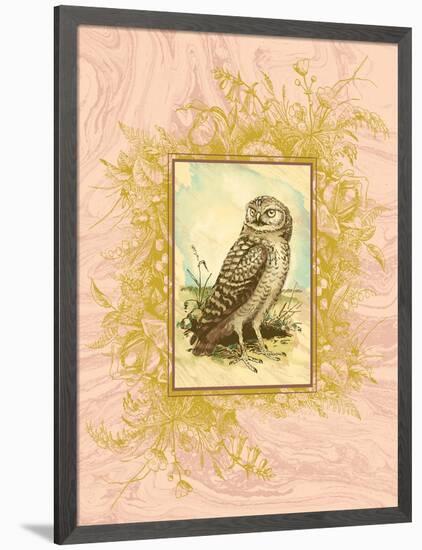 Vintage Owl-null-Framed Art Print