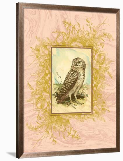 Vintage Owl-null-Framed Art Print