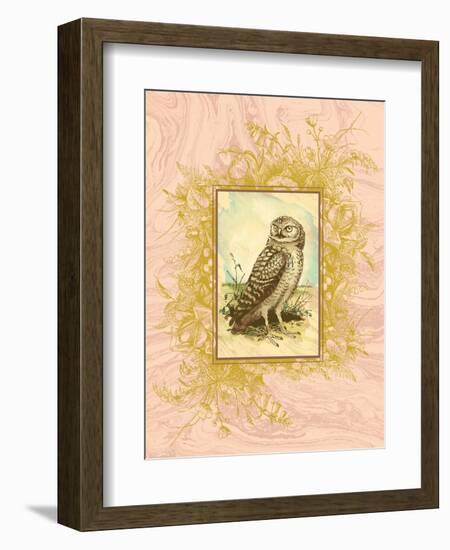 Vintage Owl-null-Framed Premium Giclee Print